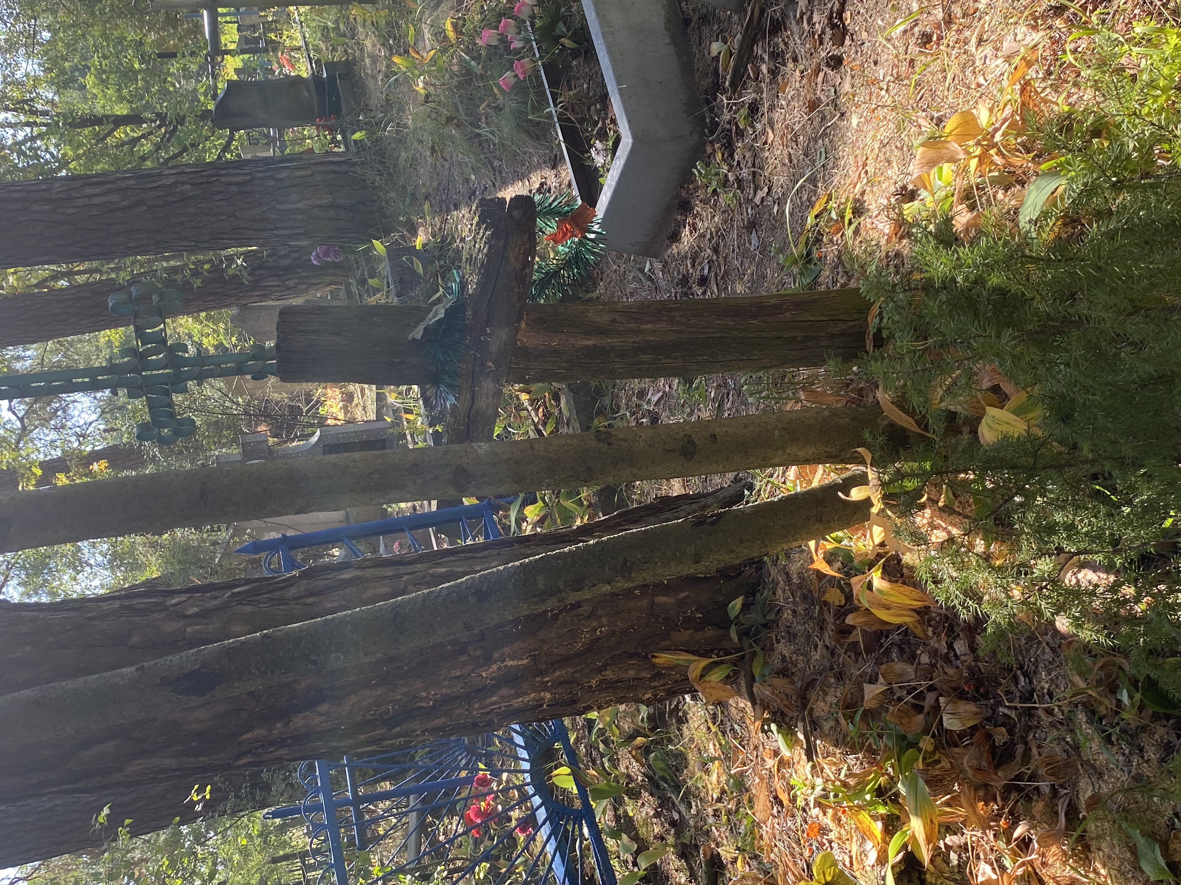 Фотография надгробия